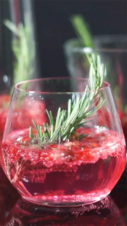 Lær å lage 100 vis av ulike drinker med våre Kaffe- og Cocktail siruper. FRANKs Taste